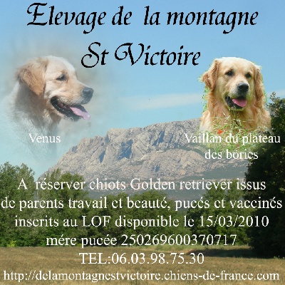 de la Montagne St Victoire -  NEWS